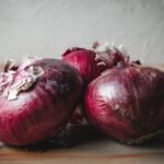 quin engle 9P4sDPBry0M unsplash