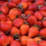 agriculture close up color confection