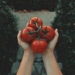 clay banks s hw64ghWEA unsplash