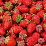 strawberry lot